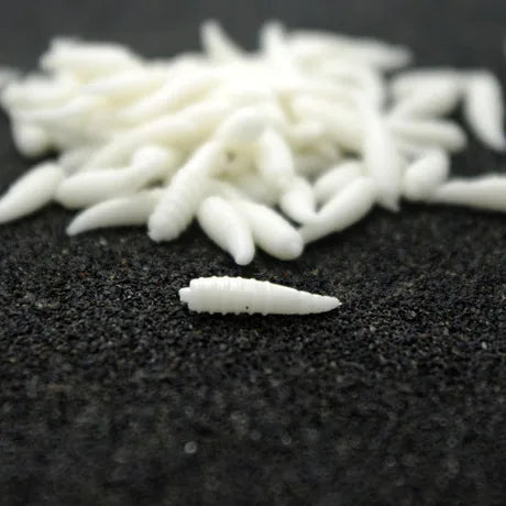 Day Night Fishing Soft Bait Worm Grub For Catch Grass Carp Artificial Lures Lot 20 Pieces Sale