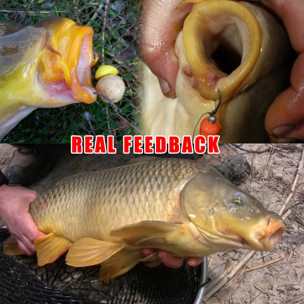 Wifreo 30PCS Coated Carp Fishing Hook High Carbon Steel Fishhooks Barbed Hooks Carp Hooks