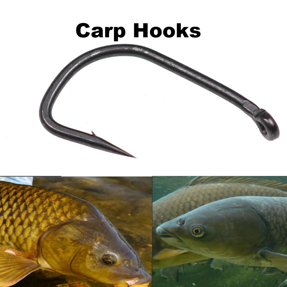 Wholesale By Bulk 1000pcs/lot Circle Eyed FishHook High Carbon Steel Carp Fishing Hooks Tackles Jig Head Pesca Peche