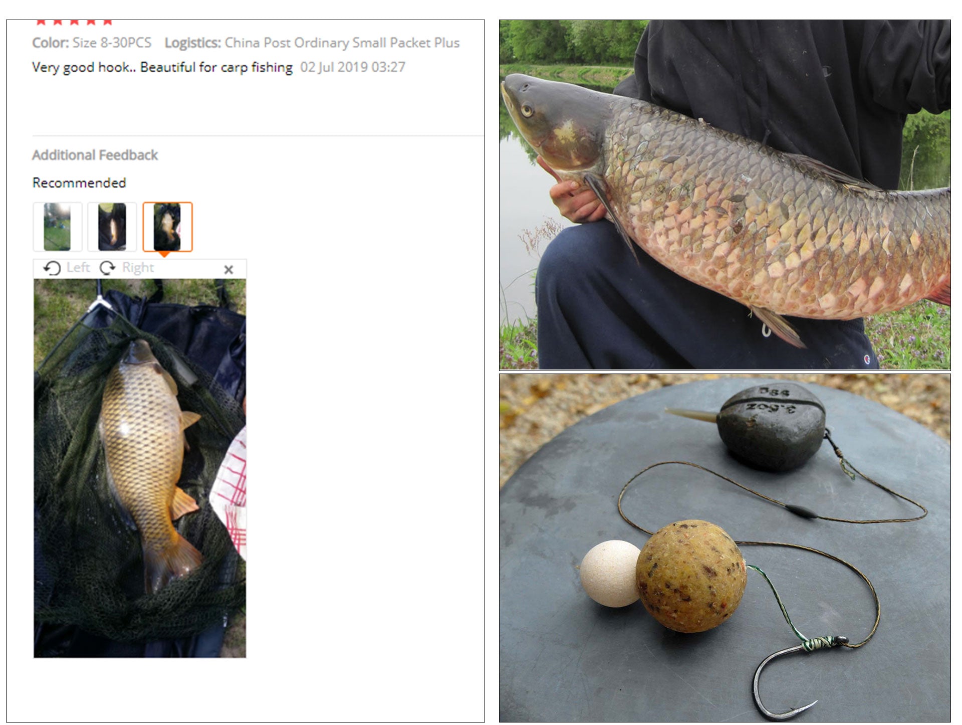 20PCS Carp Fishing Hooks Pinpoint Claw Hooks PTFE Coating High Carbon Stainless Steel Eyed Fish Hooks for Carp Fishing