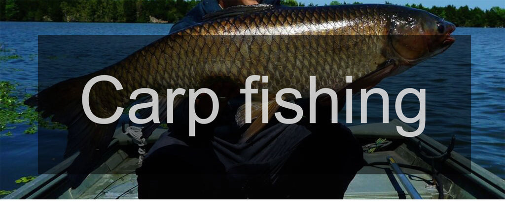 20PCS Carp Fishing Hooks Pinpoint Claw Hooks PTFE Coating High Carbon Stainless Steel Eyed Fish Hooks for Carp Fishing